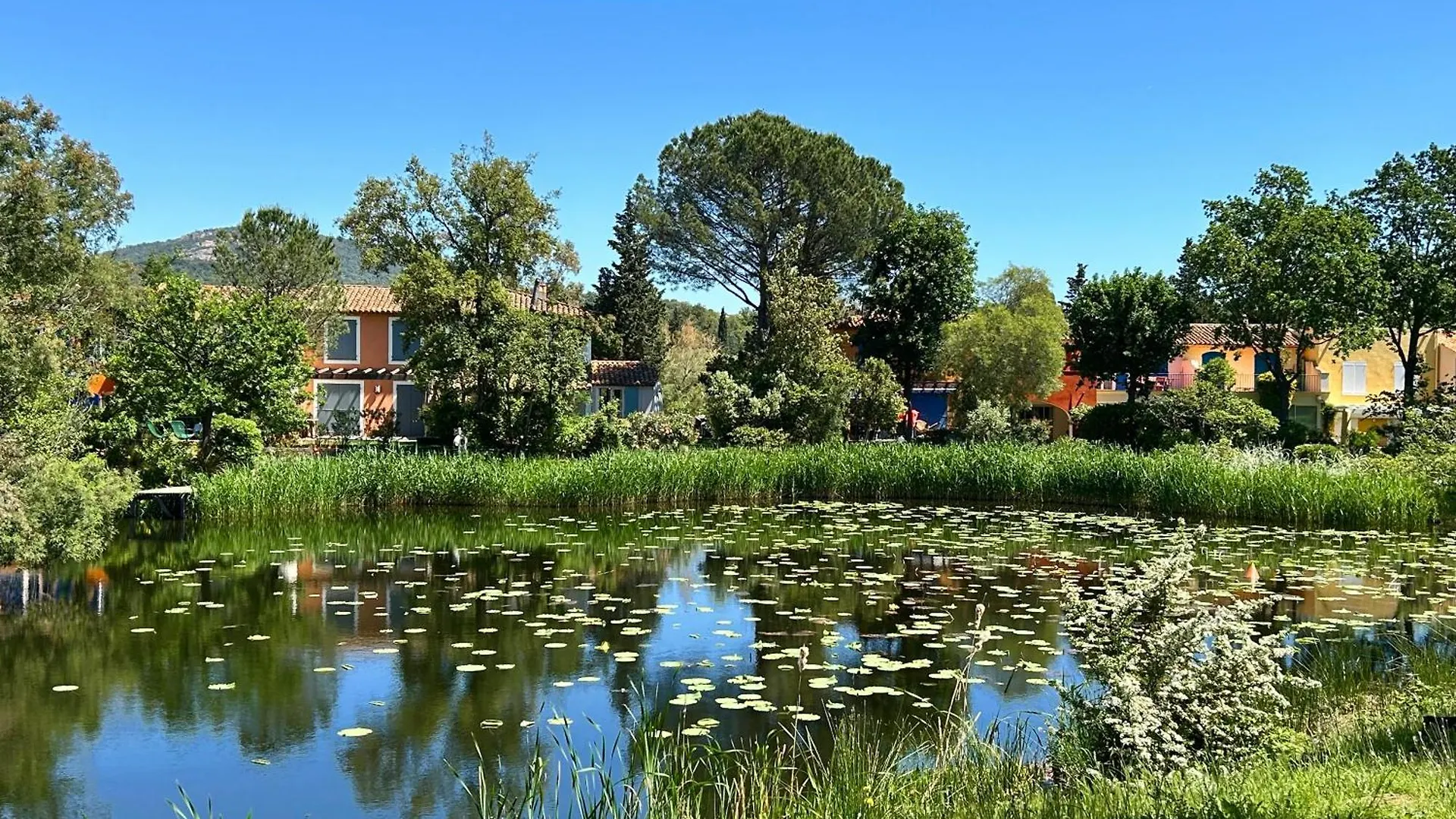 Apartment Les Restanques Lavandes 2009 Rez De Jardin Grimaud